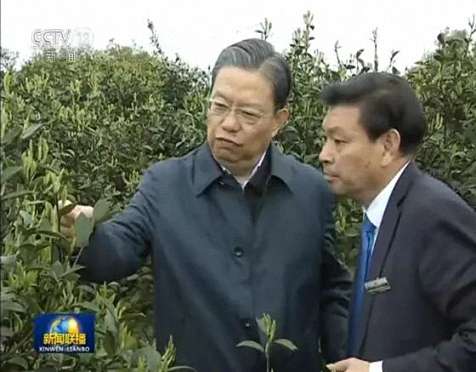 中共中央政治局常委、中纪委书记赵乐际在江西财大总裁37班刘小平同学企业调研