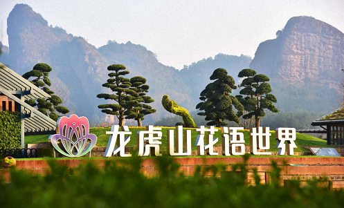 E企秀丨江财EMBA总裁班邵春荣同学企业——龙虎山花语世界52.jpg
