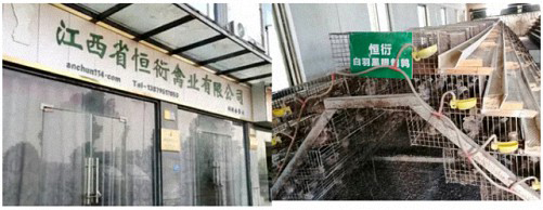 【学员走访】记走访江西财大新商界丰城学员单位——天玉油脂、泰林建材、恒衍禽业346_01.jpg 【学员走访】记走访江西财大新商界丰城学员单位——天玉油脂、泰林建材、恒衍禽业346_01.jpg