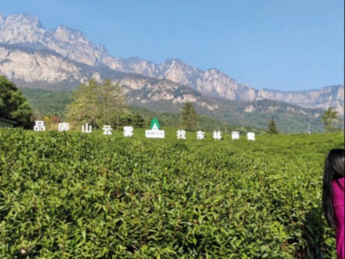 【班级活动】江财新商界25班师生赴郭青云同学企业——东林雨露庐山云雾茶智造工厂走访交流202.jpg